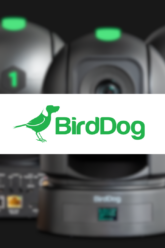 birddog (1)
