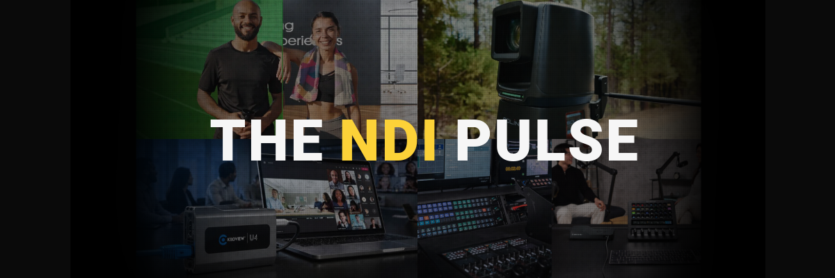 NDI_Article_Graphic-main-banner